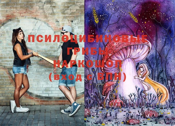 наркотики Баксан